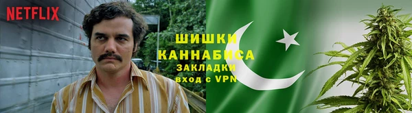 прущие грибы Алексин